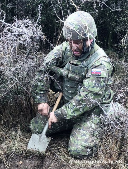 Vlci cvičili aktívne zálohy