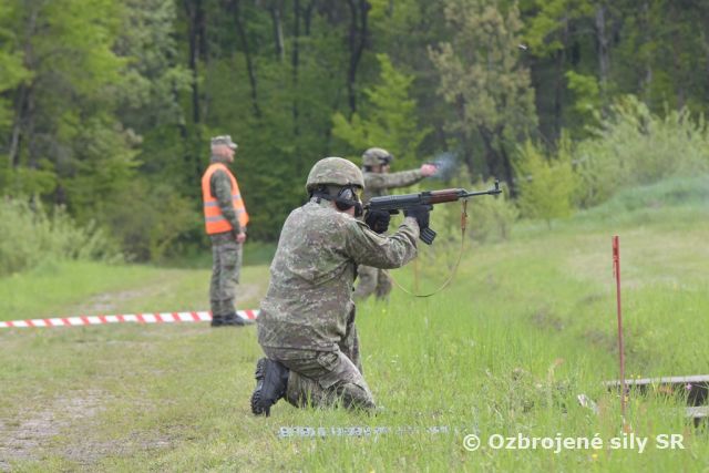 11. ročník streleckej súťaže o putovný pohár veliteľa 2. mechanizovanej brigády a Novinárska strela 2019 pozná svojich víťazov