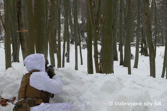 Výcvik kadetov AOS v Kamenici nad Cirochou
