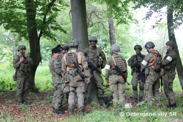 Inšpekcie výcviku a aktivít pozemných síl
