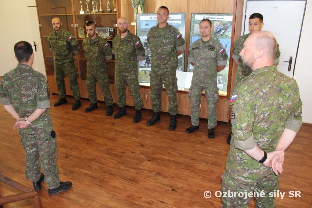Ocenenie za medzinárodnú reprezentáciu v Litve