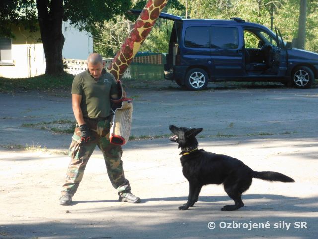 Detský tábor Misia Delta