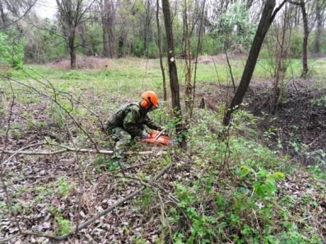 Sústredený výcvik mravcov
