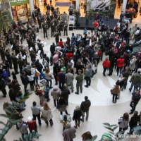 Výstavu fotografií 