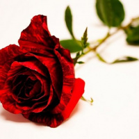 MDŽ na Úrade logistického zabezpečenia OS SR