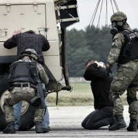 05 Zelená vlna s 5. plukom