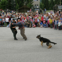Deň otvorených dverí