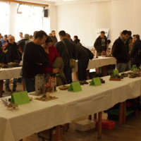 Súťaž plastikových modelárov „Plastic shock“