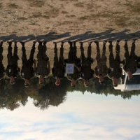 CORONAT MASK 2018 podrobené inšpekcii z nadriadeného stupňa