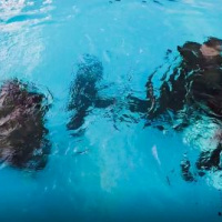 11 Výcvik podvodných operácií