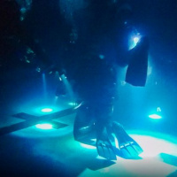 17 Výcvik podvodných operácií