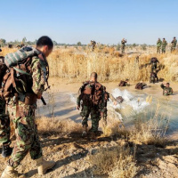 02 Cobra strike už kvalifikované