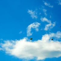 22 Policajti, špeciáli a hasiči na Mare