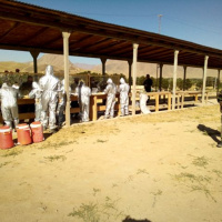 04 V Afganistane pokračujú slovenskí špeciáli aj napriek koronavírusu