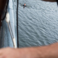 11 Výber do 5. pluku píše 5. deň - Šebík: 