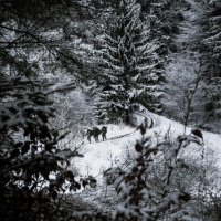 04 Crescid in adversis virtus – patri k najlepším!