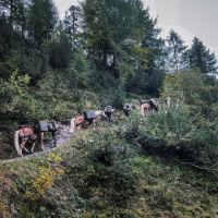 05 Medzinárodné cvičenie ostreľovačov vo vysokohorskom teréne