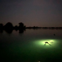 Skupiny z pluku na AQUA IMZ