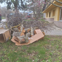 Jarná brigáda pre deti z detského domova