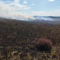 Letecké streľby na „béčku“