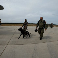 Štvornohí pomocníci vo vzduchu