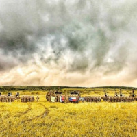 54. raketometný oddiel mieri na medzinárodné cvičenie Joint Fires 2025