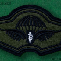 rozlišovací znak - bojové jednotky