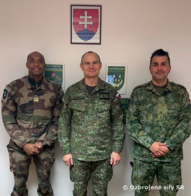 Verifikácia brigády