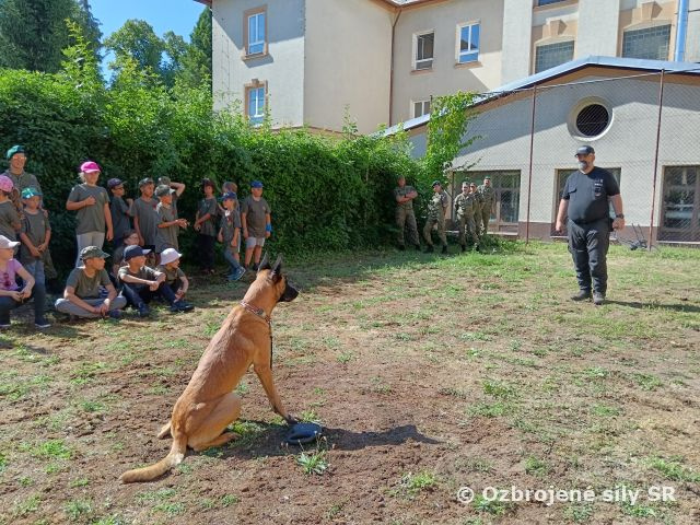 Denný detský tábor po vojensky