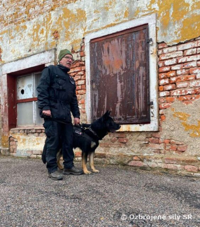 Účasť na medzinárodných pretekoch