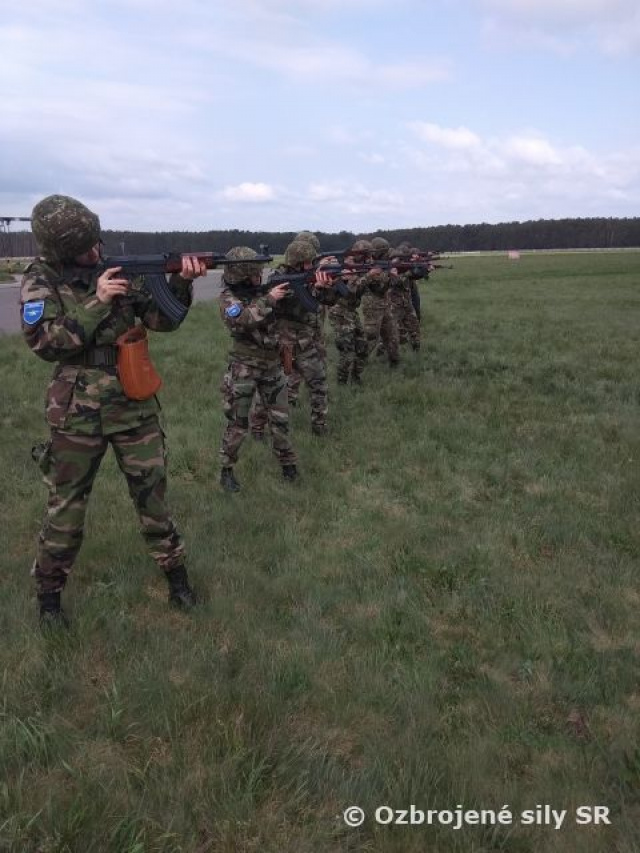 Vševojskový výcvik profesionálnych vojakov