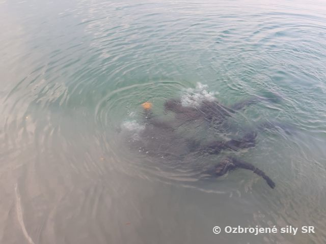 Kurz vojenských potápačov