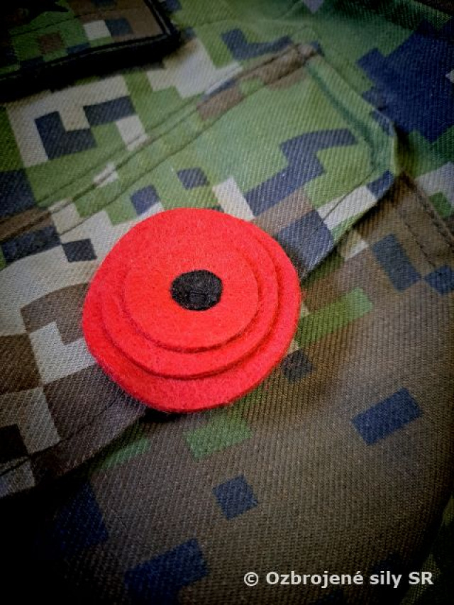 Nielen svet, ale aj 21. mechanizovaný prápor v Trebišove si uctieva vojnových veteránov