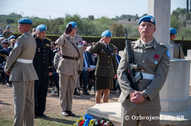 Deň vojnových veteránov na Cypre