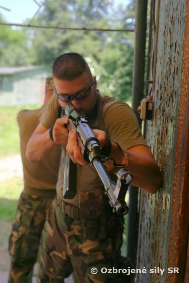 Základné bojové zručnosti