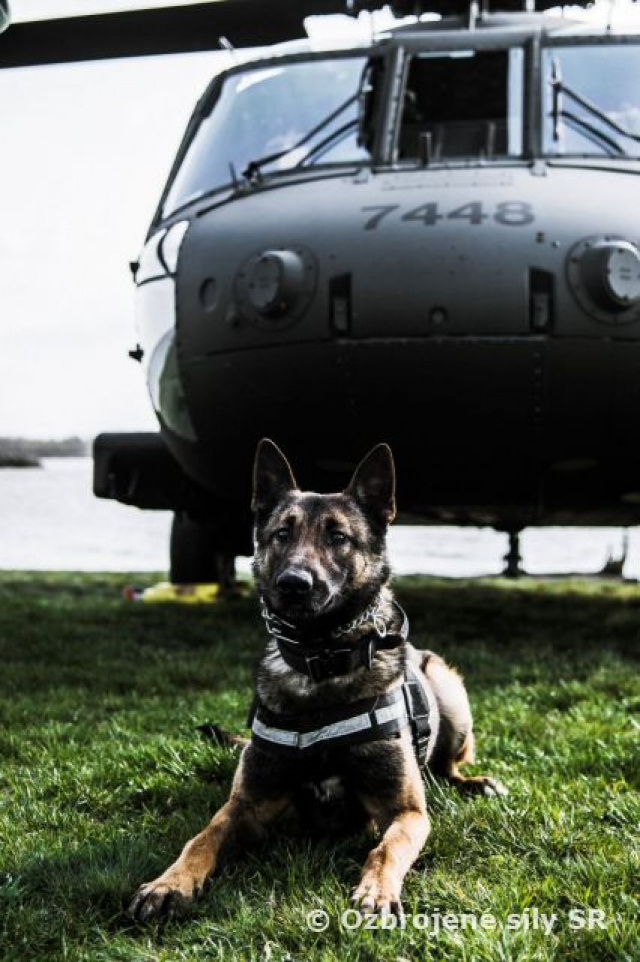 5. pluk špeciálneho určenia rozširuje spôsobilosti o K9 