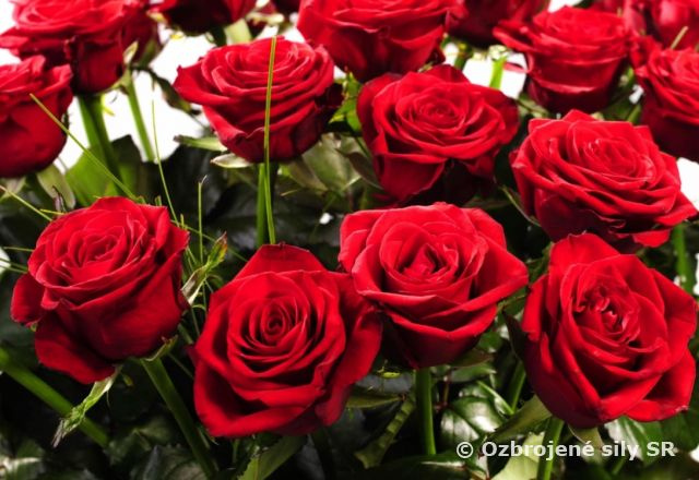 Uctili sme si ženy Prešovskej mechanizovanej brigády