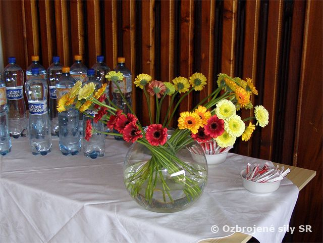 Medzinárodný deň žien