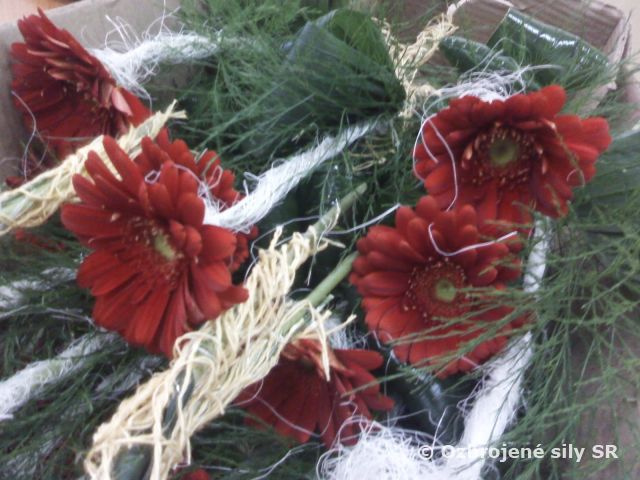 Muži ďakovali ženám (MDŽ) aj v Seredi