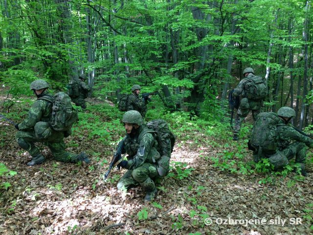 Vynútené odlúčenie od jednotky – SERE B
