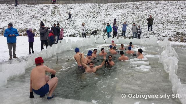 Delostrelecký medveď