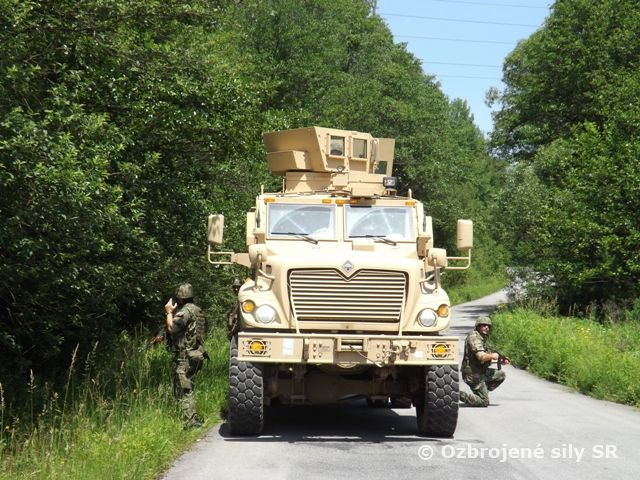 Príslušník  samohybného delostreleckého oddielu vo  výcviku národného podporného prvku 