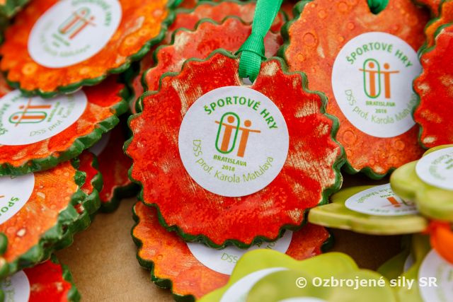 Športové hry v DSS prof. Karola Matulaya