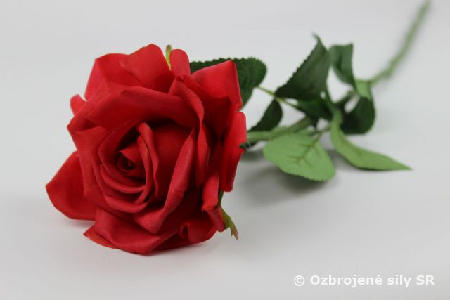 Milé vojačky, zamestnankyne,