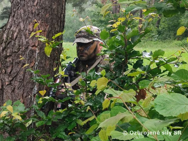 Výcvik prieskumnej čaty v priestore Kamenice nad Cirochou