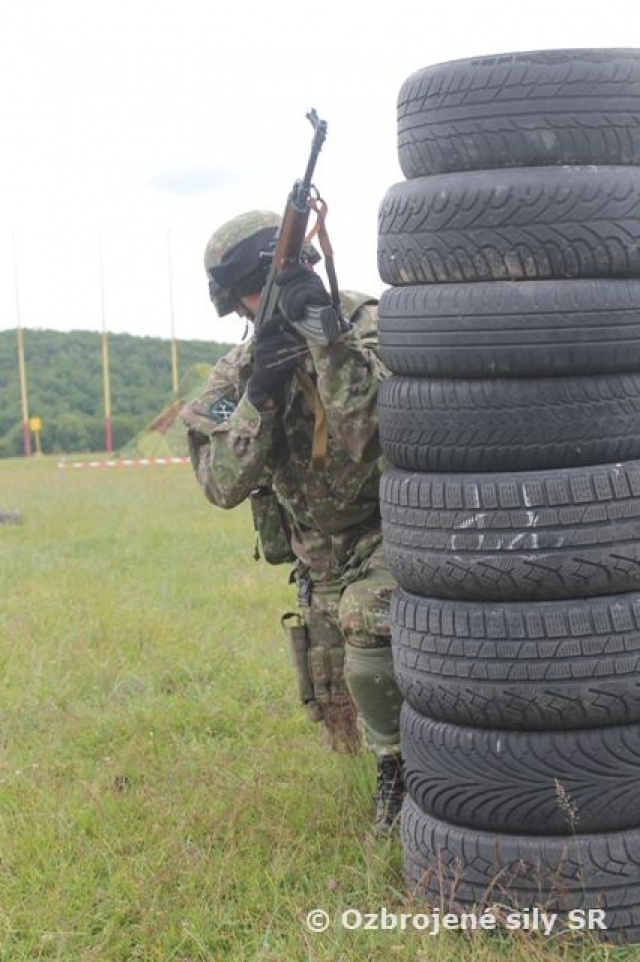 Velenie ozbrojených síl preverilo svoje bojové zručnosti