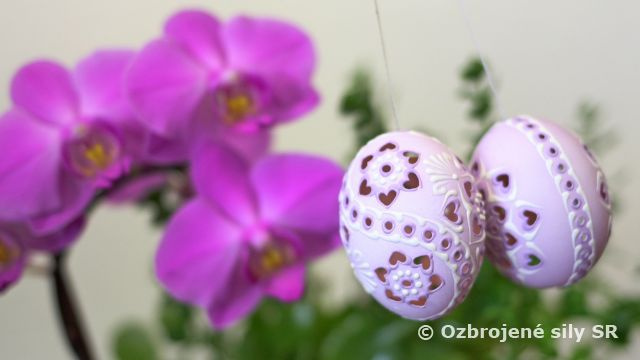 Vážené dámy, milí páni,