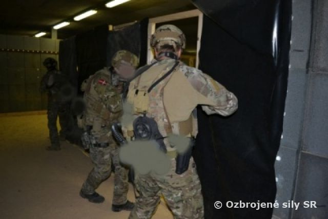 Jednotka špeciálnych síl Dánskeho kráľovstva cvičí v týchto dňoch na Lešti