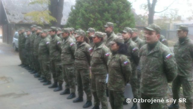 Zmeny v MLF ZZZ Nemšová