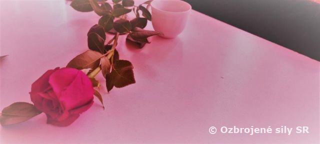 Úcta k ženám – MDŽ v ZaVaMD Martin